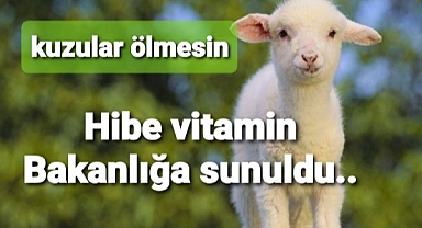 Kuzular ölmesin