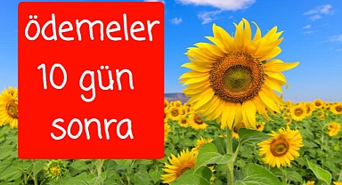 Ödemeler 10 gün sonra yapılacak...