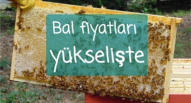 Orman yangınları bal fiyatlarını da etkiledi