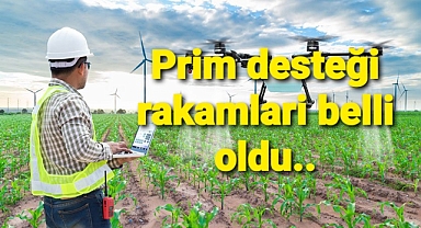 Prim desteği rakamları belli oldu