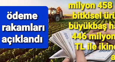 Rakamlar açıklandı