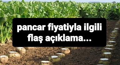 Şeker pancarı fiyatıyla ilgili flaş açıklama