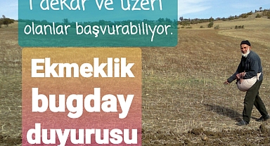 Sertifikalı ekmeklik buğday tohumu dağıtımı yapılacaktır