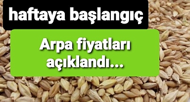 Borsadan son arpa fiyatları..