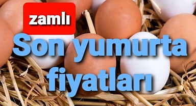 Son yumurta fiyatları