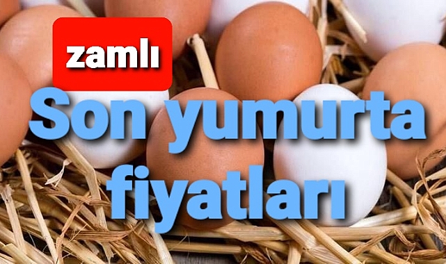 Son yumurta fiyatları