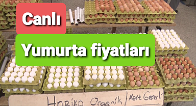 Son yumurta fiyatları