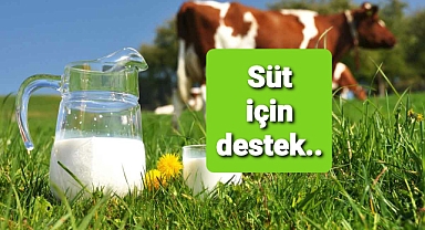 Süt için üreticilere ödeme