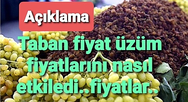 Taban fiyatın yaş Üzüm fiyatlarına etkisi