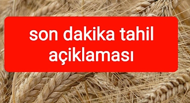 Tahil açıklaması