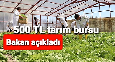 Tarım alanını seçen öğrencilere 500 TL burs verilecek