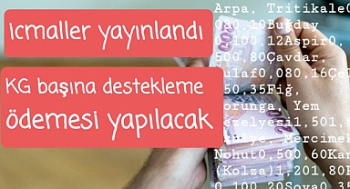 Tarım Bakanlığı KG başına destekleme ödemesi yapacak..