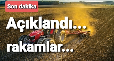 Tarım-GFE yıllık yüzde 134,96 arttı