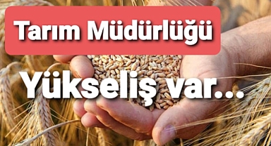 Tarım Müdürlüğü açıkladı: Yükseliş var