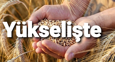 Tarım ürünleri üretici fiyat endeksi artışla