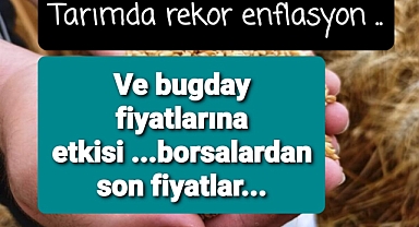 Tarımda rekor enflasyon devam ederken buğday fiyatları