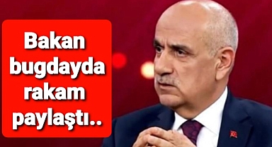 TMO'nun aldığı buğday miktarını paylaştı...