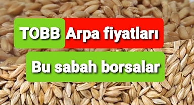 TOBB Arpa fiyatları paylaşıldı