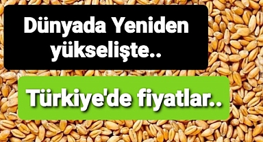 TOBB buğday fiyatlarını açıkladı