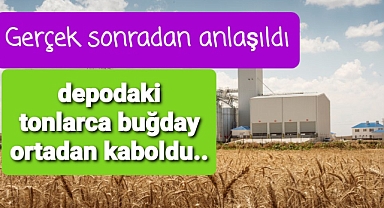 Tonlarca buğday ortadan kayboldu