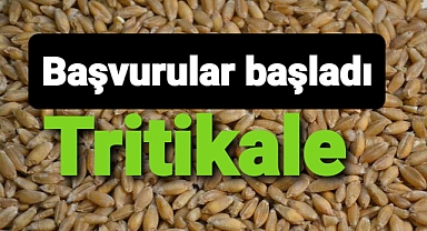 Tritikale tohumu başvuruları açıldı