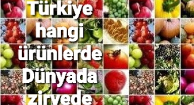 Türkiye Hangi ürünlerde zirvede