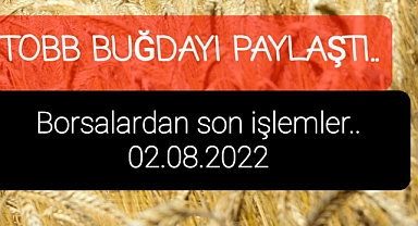 Türkiye'nin farklı yerlerinden buğday fiyatları