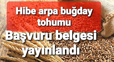 Üreticilere hibe tohum..