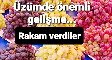 üzüm fiyatlarında flaş gelişme