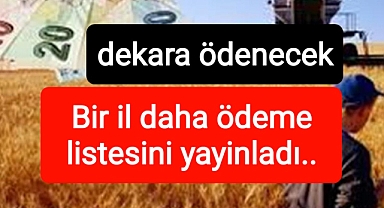 Bir ilde daha icmaller yayınlandı