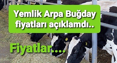 Yemlik Arpa Buğday fiyatları
