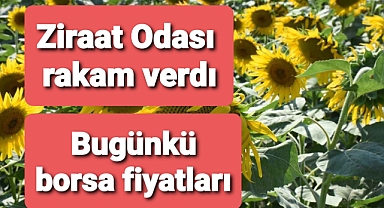 Ziraat Odası rakam verdi, Borsalarda son fiyatlar
