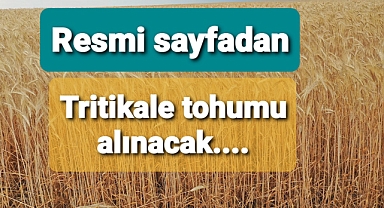 Tritikale tohumu alımı için ilana çıkıldı..