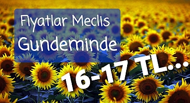 Ayçiçeği meclis gündeminde