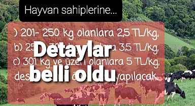 Bakanlıkça hazırlanan teşvik çalışmasının detayları belli oldu..