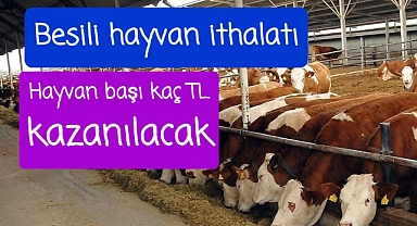Besili hayvan ithalatınin yankıları surüyor