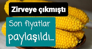 Borsada son mısır fiyatları