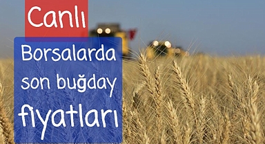 Borsalardan son Buğday fiyatları