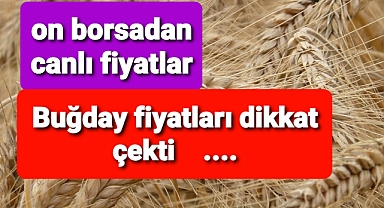 Borsalardan son dakika buğday fiyatları