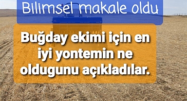 Buğday için en uygun yöntemin hangisi olduğu bilimsel olarak açıklandı