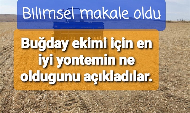Buğday için en uygun yöntemin hangisi olduğu bilimsel olarak açıklandı