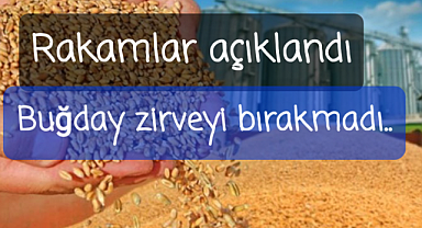 Buğday zirveyi kimseye bırakmadı..