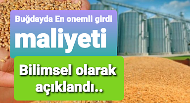 Buğdaydaki en önemli girdi maliyetleri bilimsel makalede