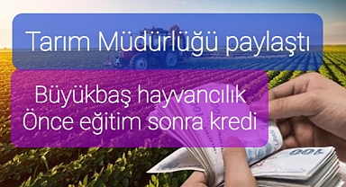 Büyükbaş hayvancılık kredi eğitimi