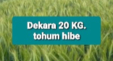 Dekar başına 20 kg tohum hibe