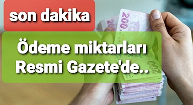 destekleme ödemeleri resmi gazetede..