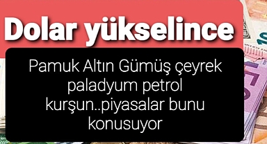 Dolar yükselince...