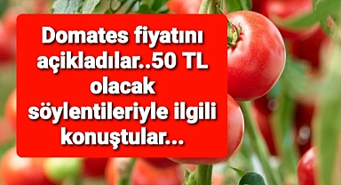 Domates fiyatlarıyla ilgili açıklama ve