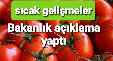 Domateste sıcak gelişmeler Bakanlık açıklama yaptı