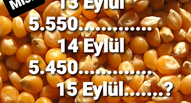 Dünyada zirve yaptı Türkiye'de durum ne?